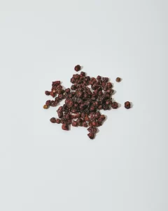 plante hiver schizandra