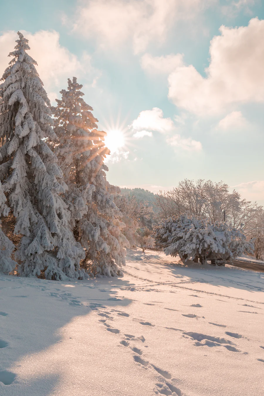 hiver